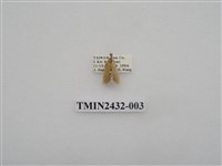 藏品(六點苔蛾)的圖片